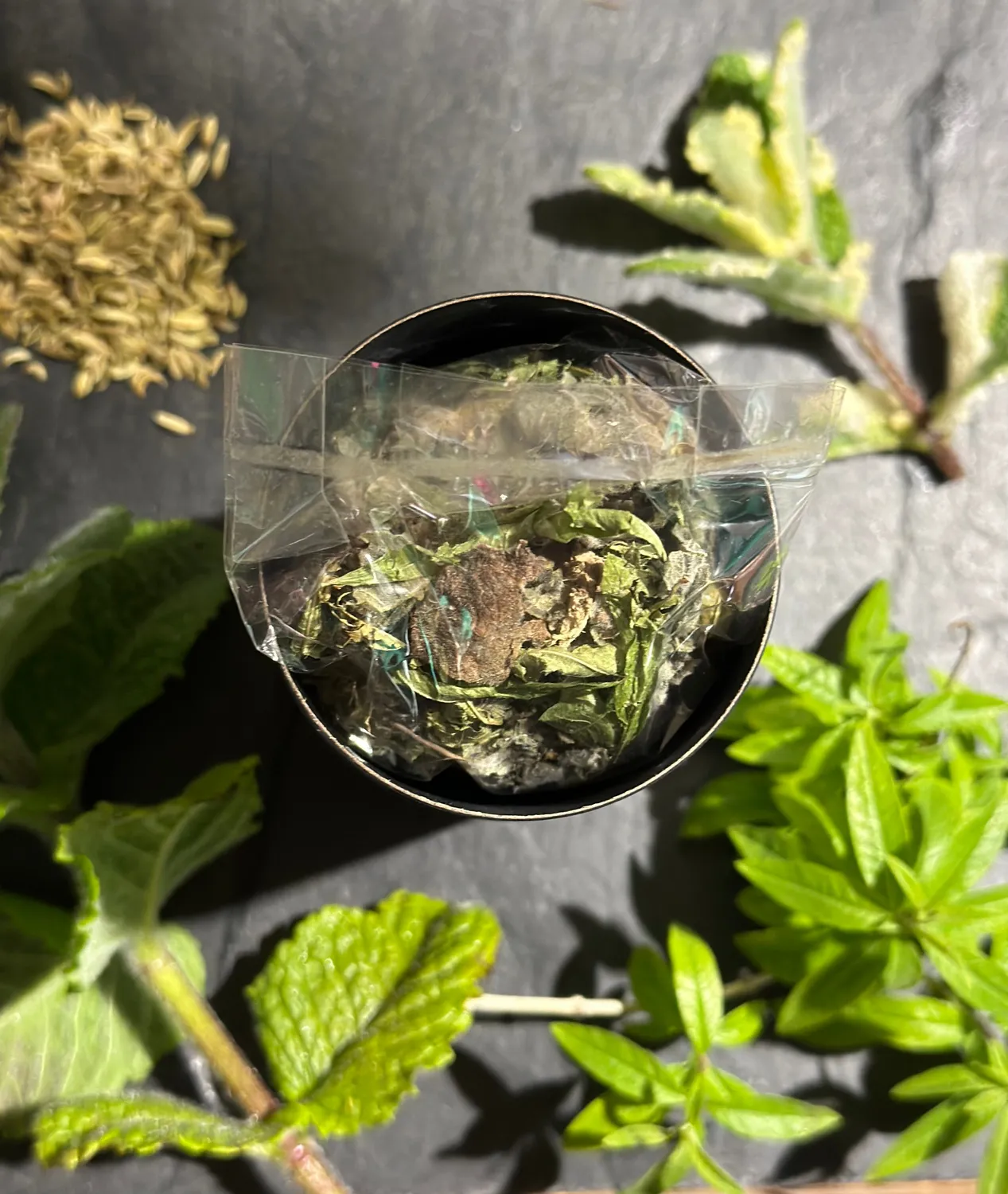 Wild Eve infusion digestive 20g menthe fenouil