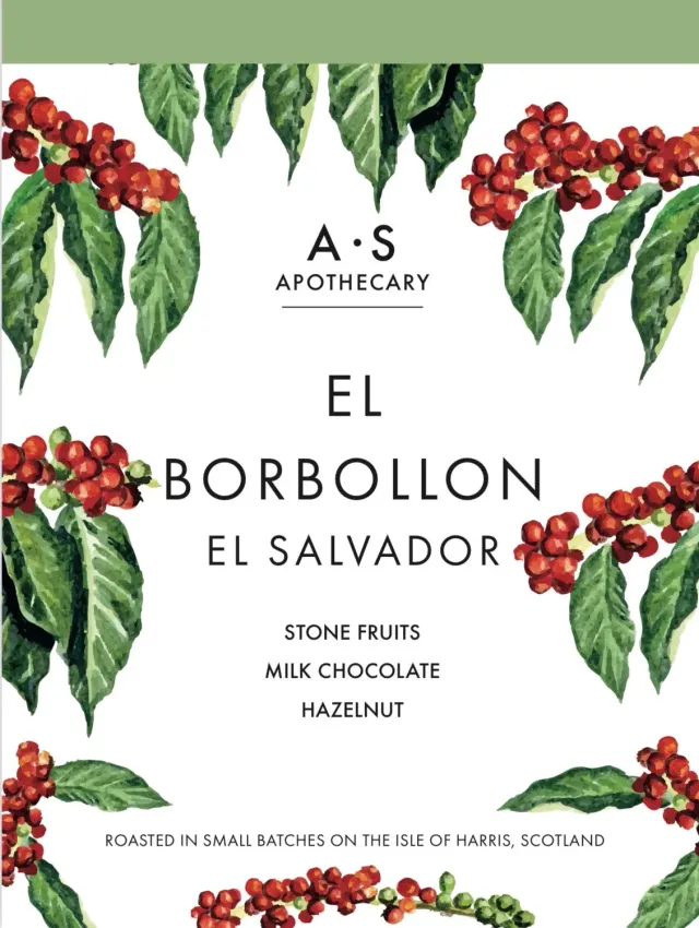 WILD EVE El Borbollon café grains 250g Salvador