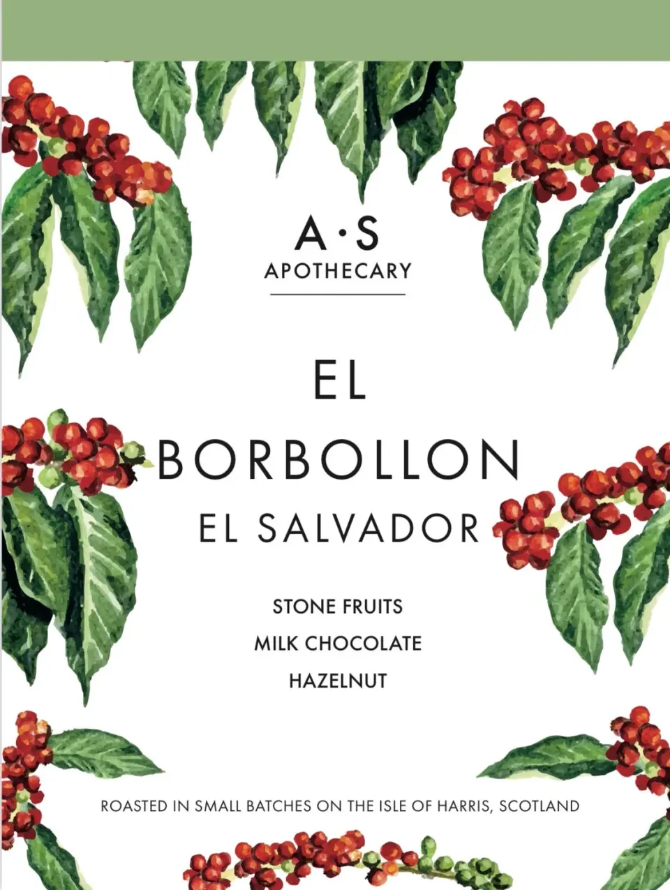 WILD EVE El Borbollon café grains 250g Salvador