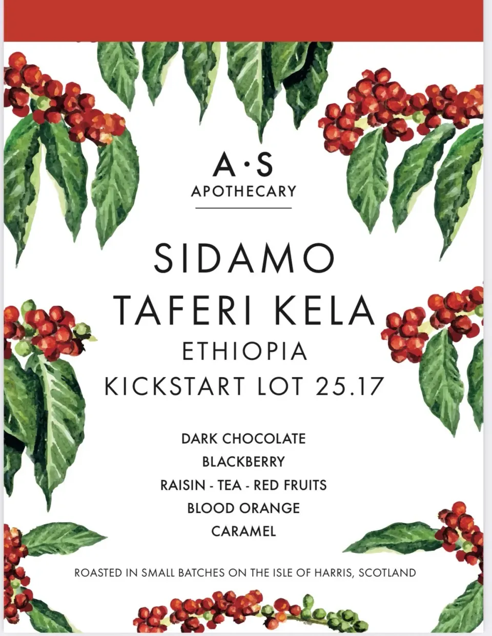 Wild Eve Ethiopia Taferi Kela café en grains 250g fruits rouges