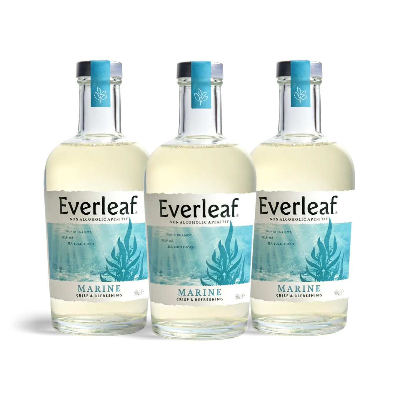 EVERLEAF Marine apéritif sans alcool 1 bouteille