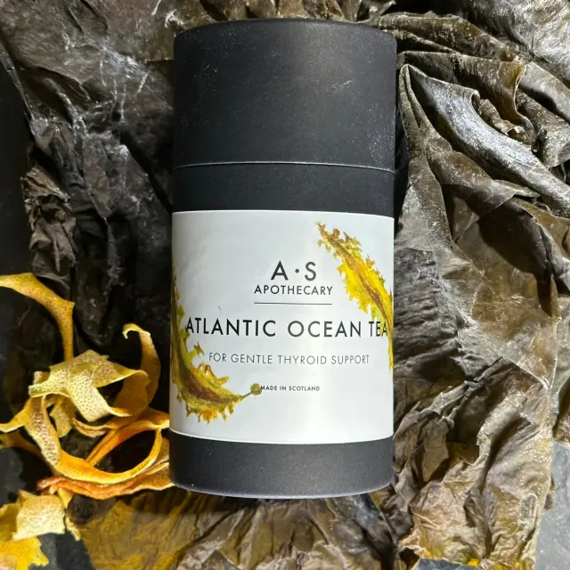 Wild Eve Atlantic Ocean infusion algue kelp citron
