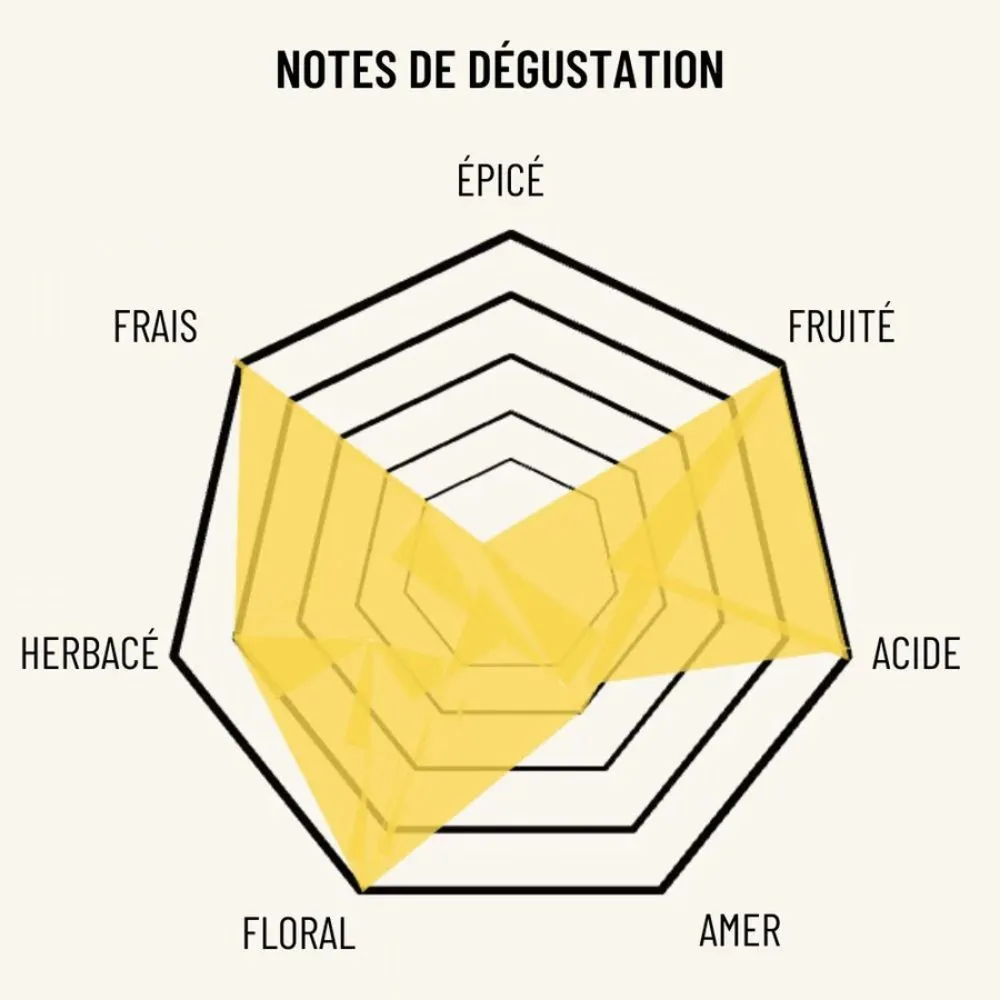 OSCO L'Éclat Brut pétillant sans alcool 12x75cl bio
