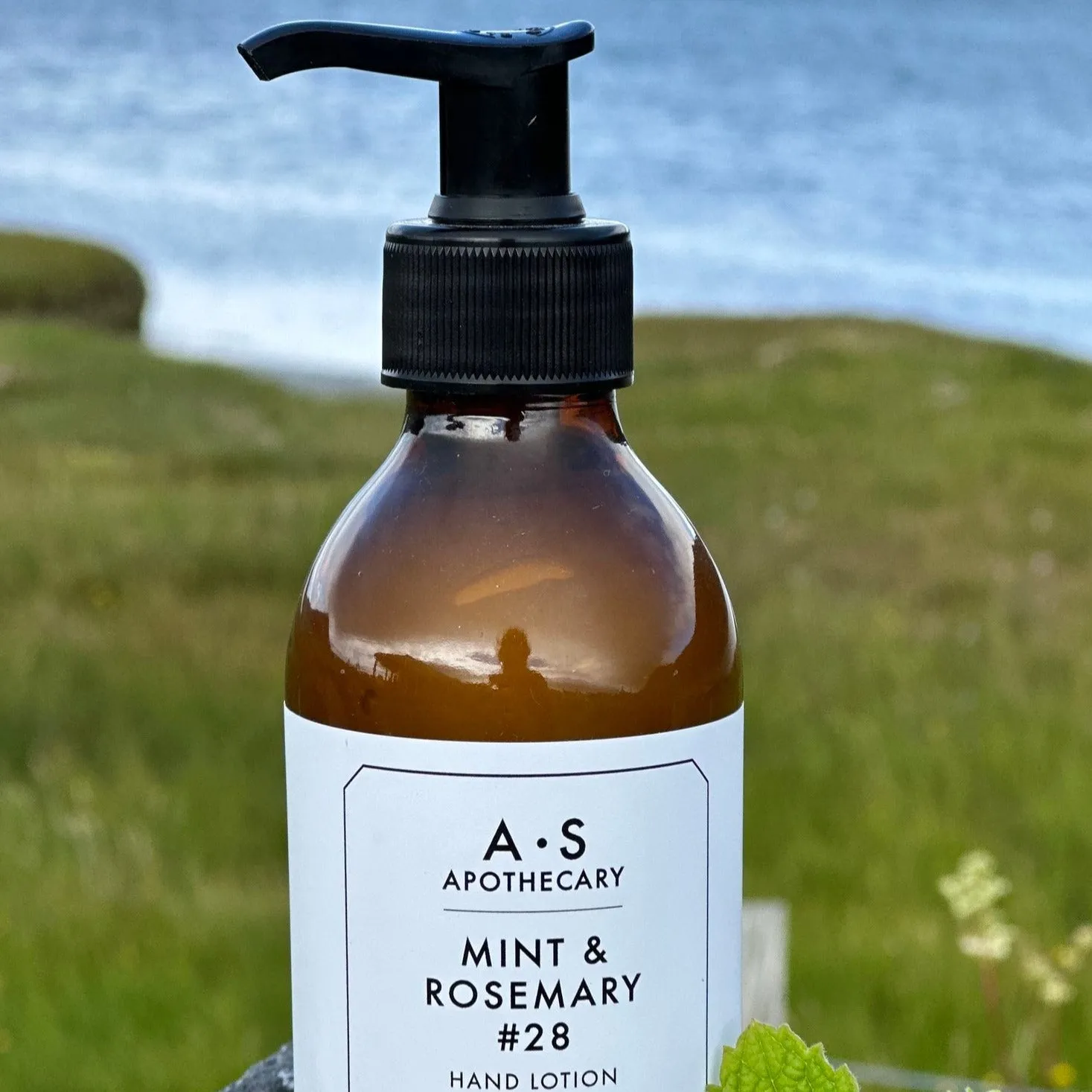 WILD EVE Mint Rosemary lotion mains 200ml menthe