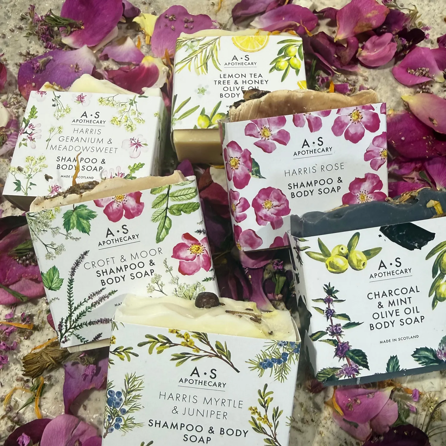 WILD EVE Soap & Shampoo Experience coffret 6 savons solides