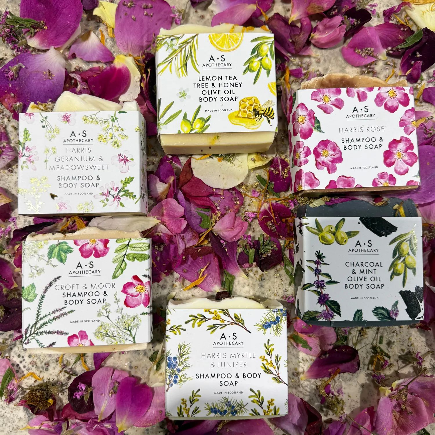 WILD EVE Soap & Shampoo Experience coffret 6 savons solides