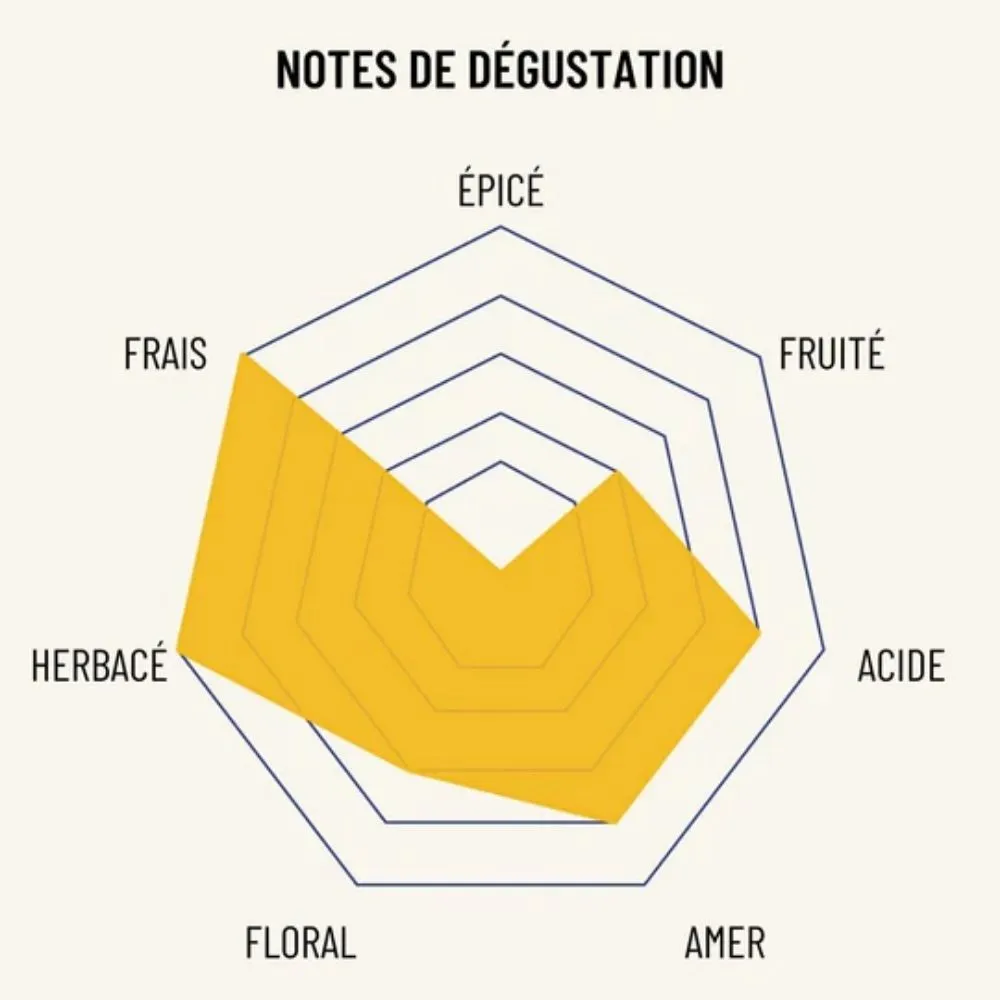 OSCO L'Original apéro sans alcool bio 25cl gentiane